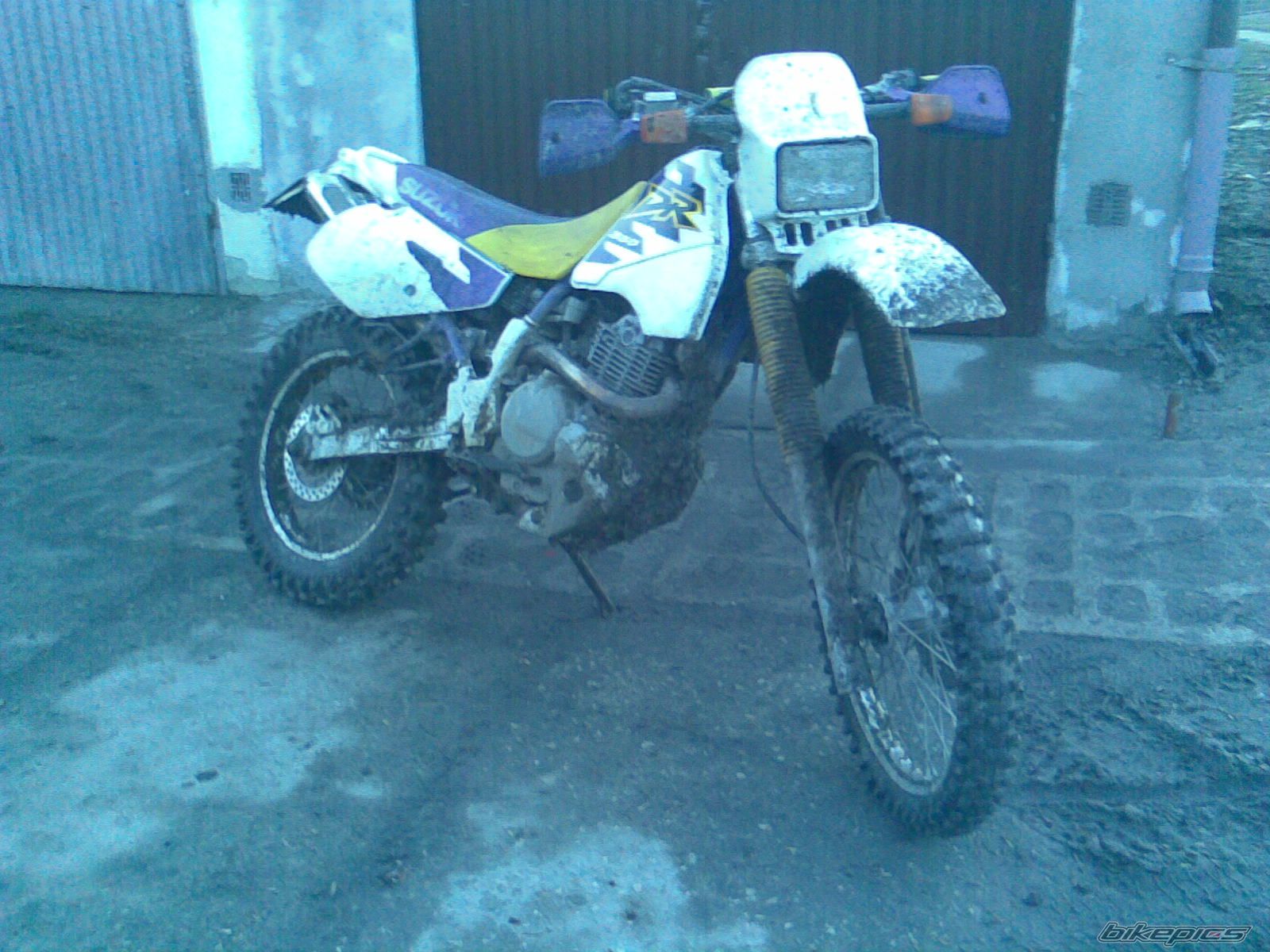 Photo 1564677