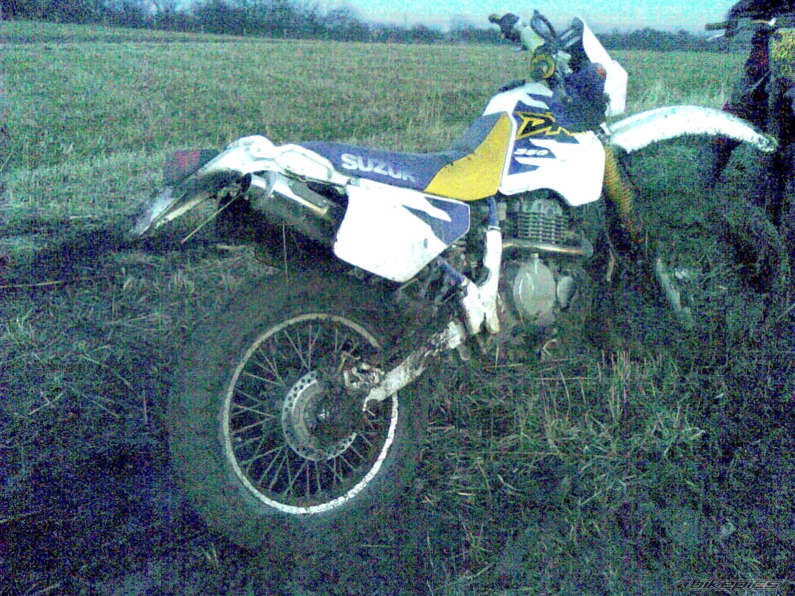 Photo 1564683