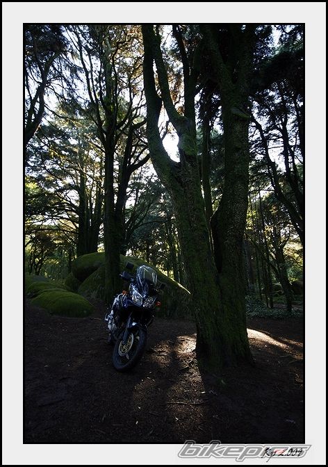 Photo 1564730