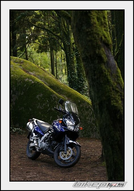 Bike Photo 1564733