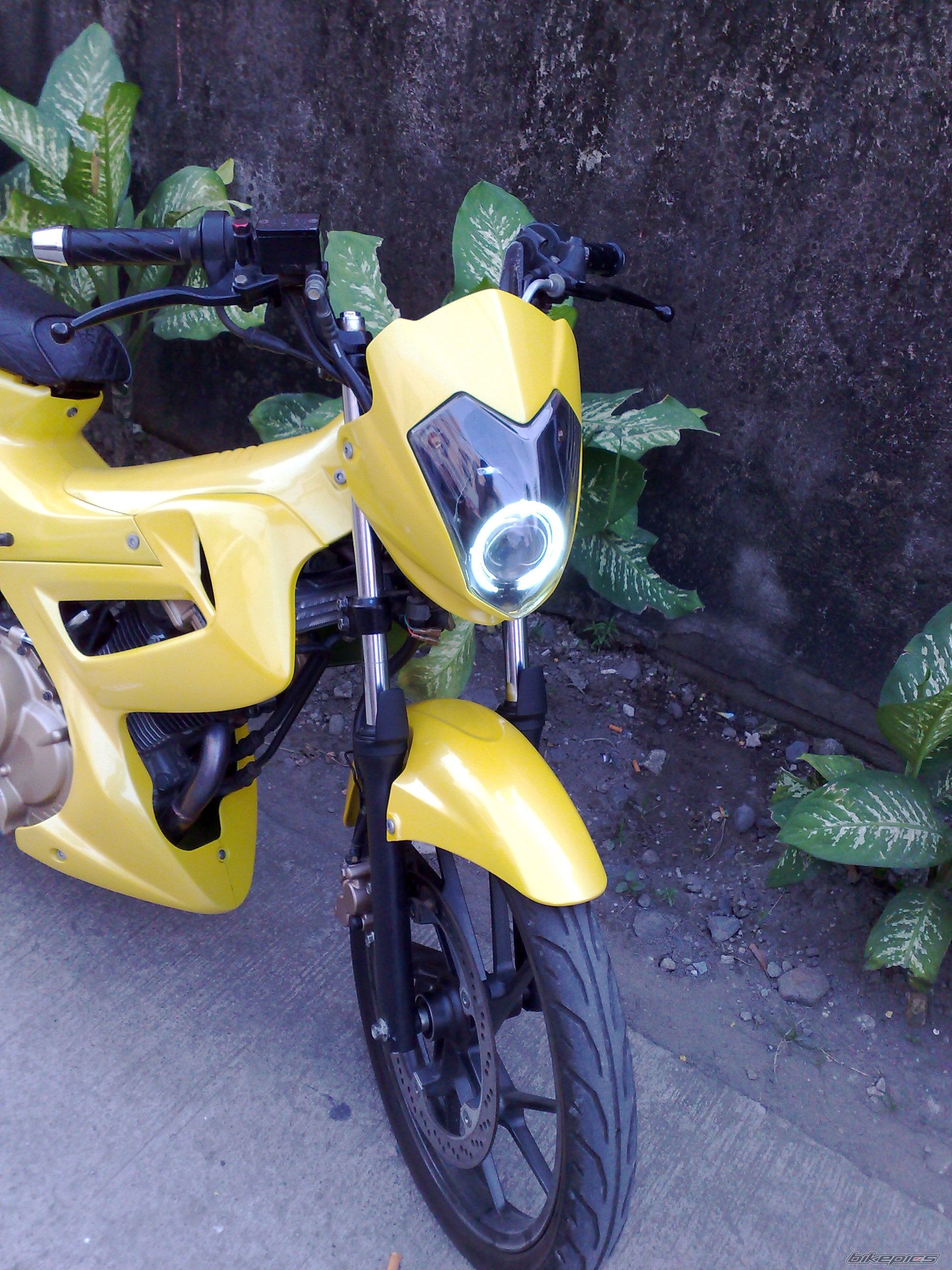 Photo 1564738