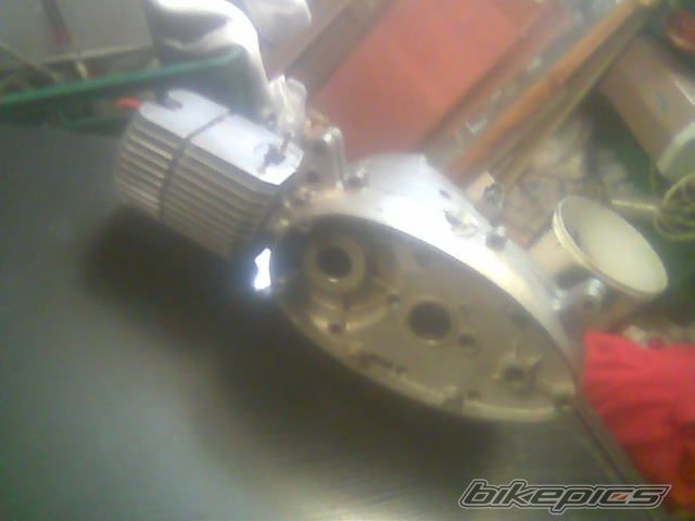 Photo 1564776