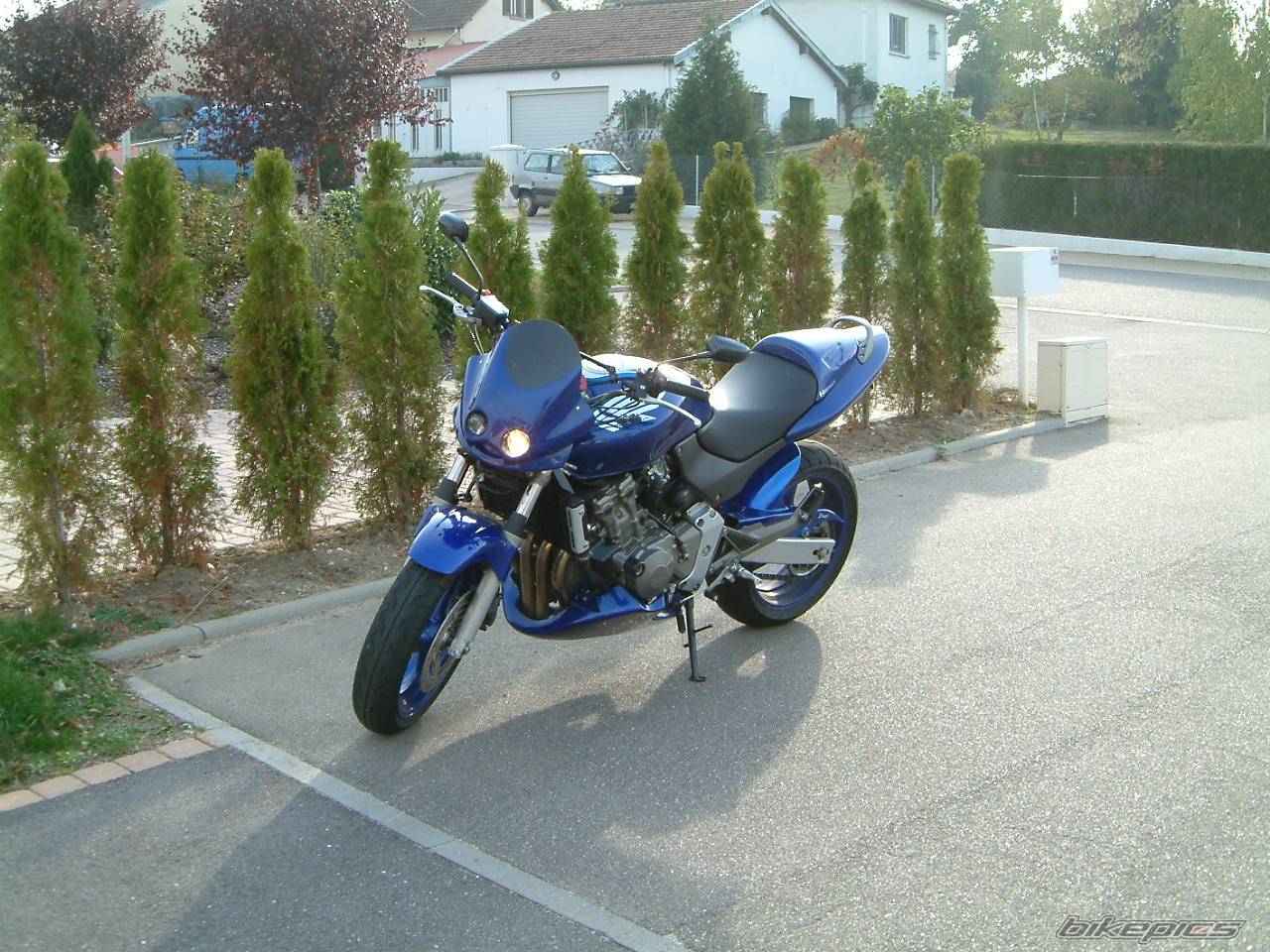 Photo 156478