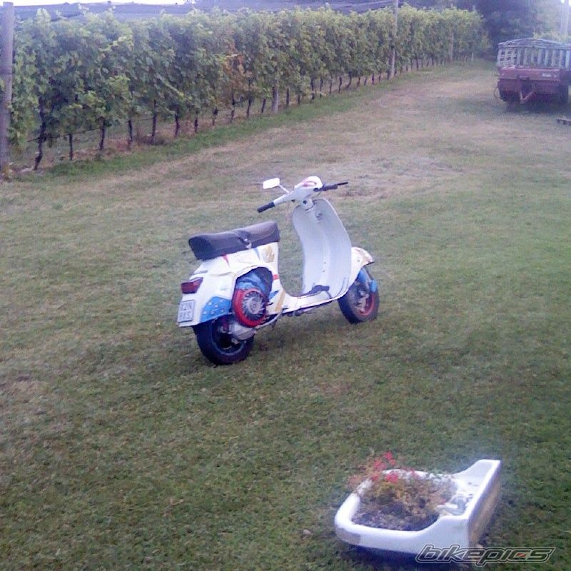 Photo 1564813