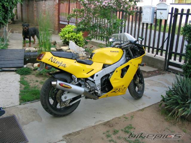 Photo 156482