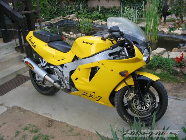 Photo 156483