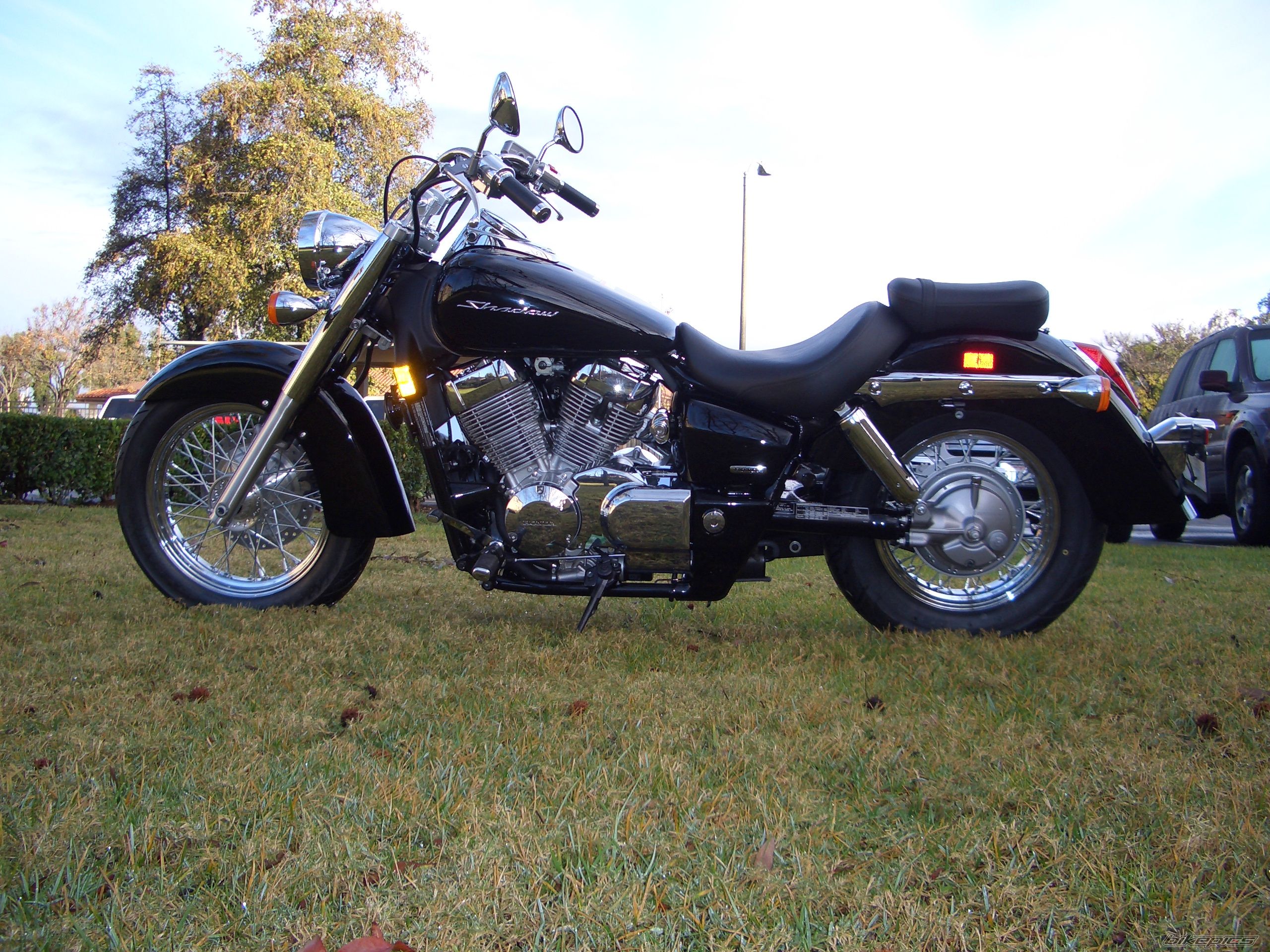 Photo 1564843