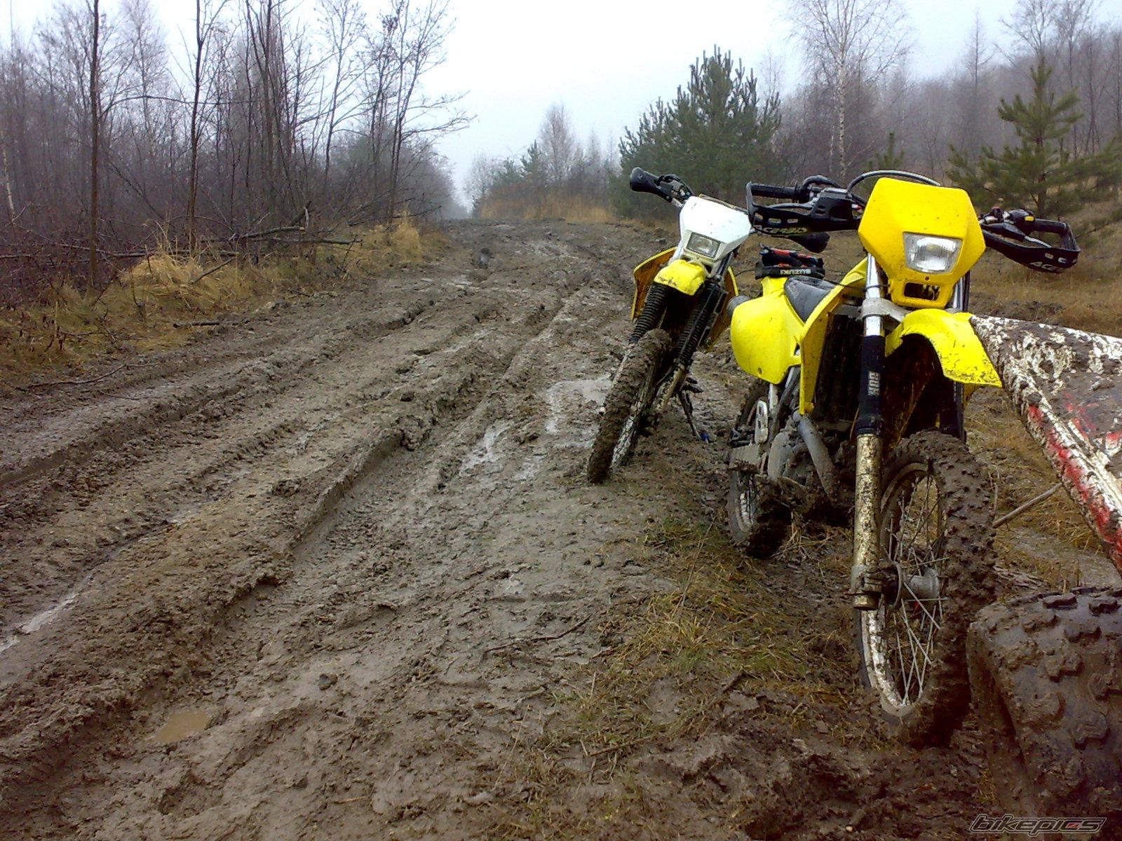 Bike Photo 1564874