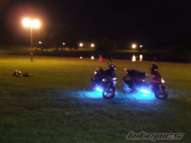 Photo 1564876