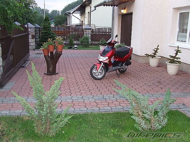 Photo 1564891