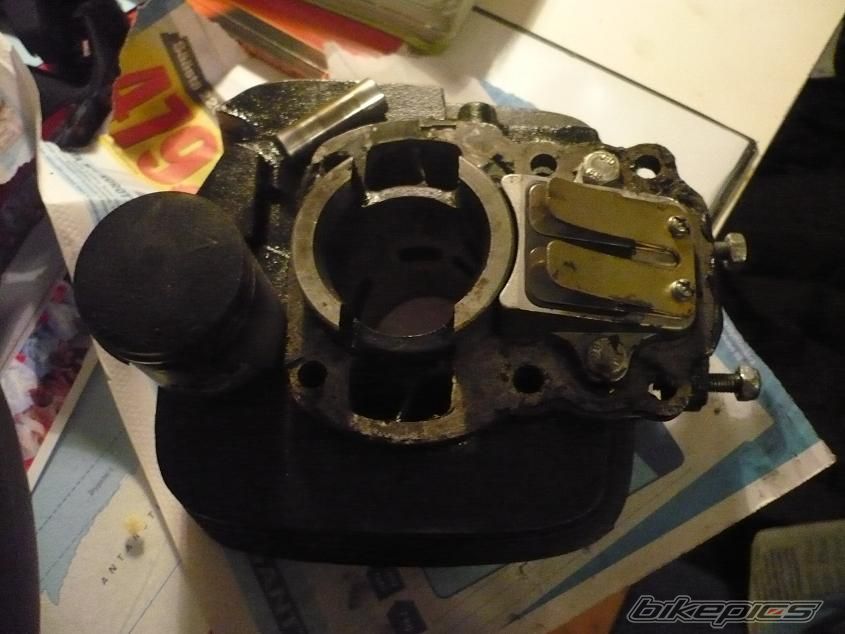 Photo 1564909