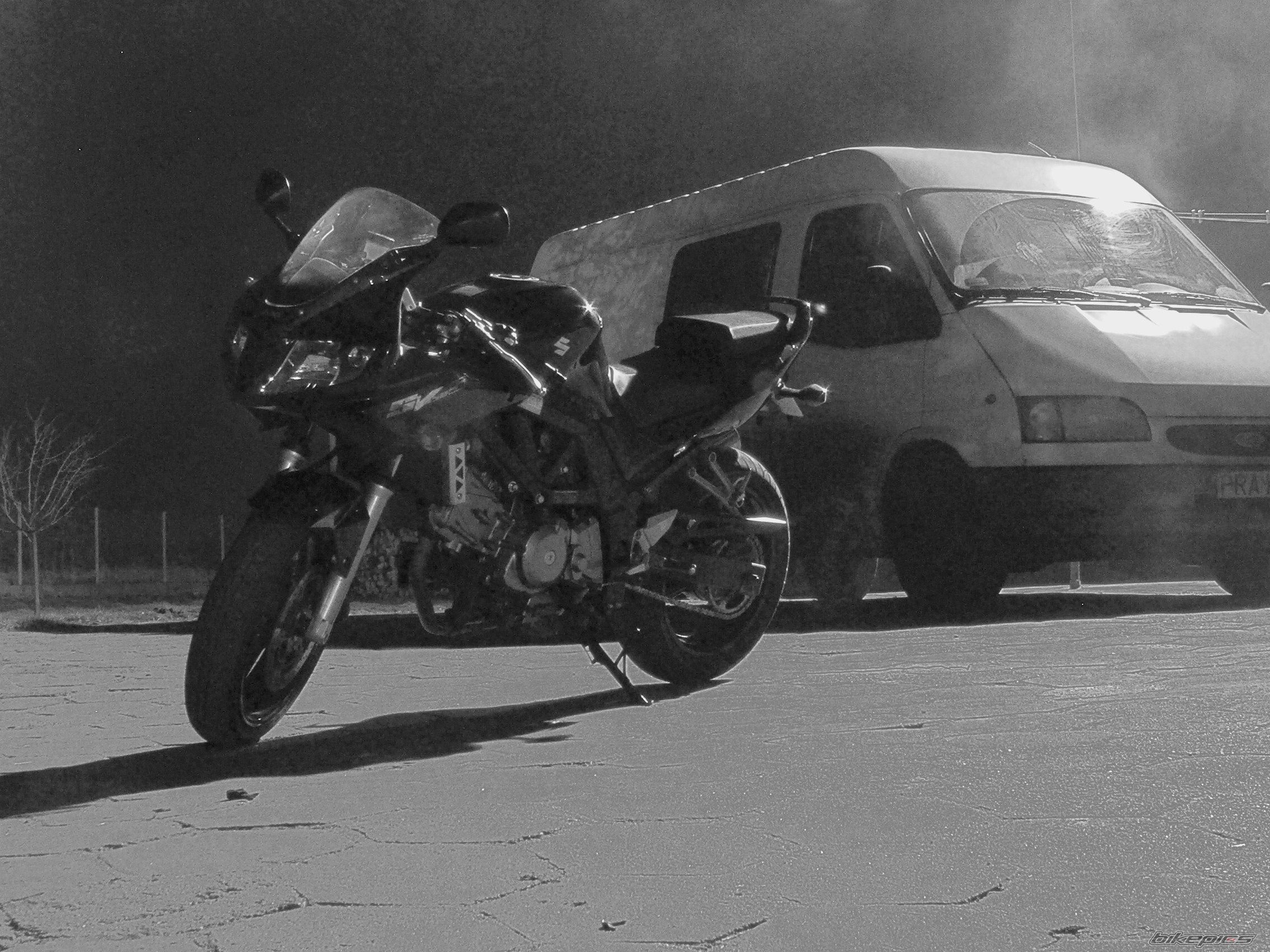Photo 1564931