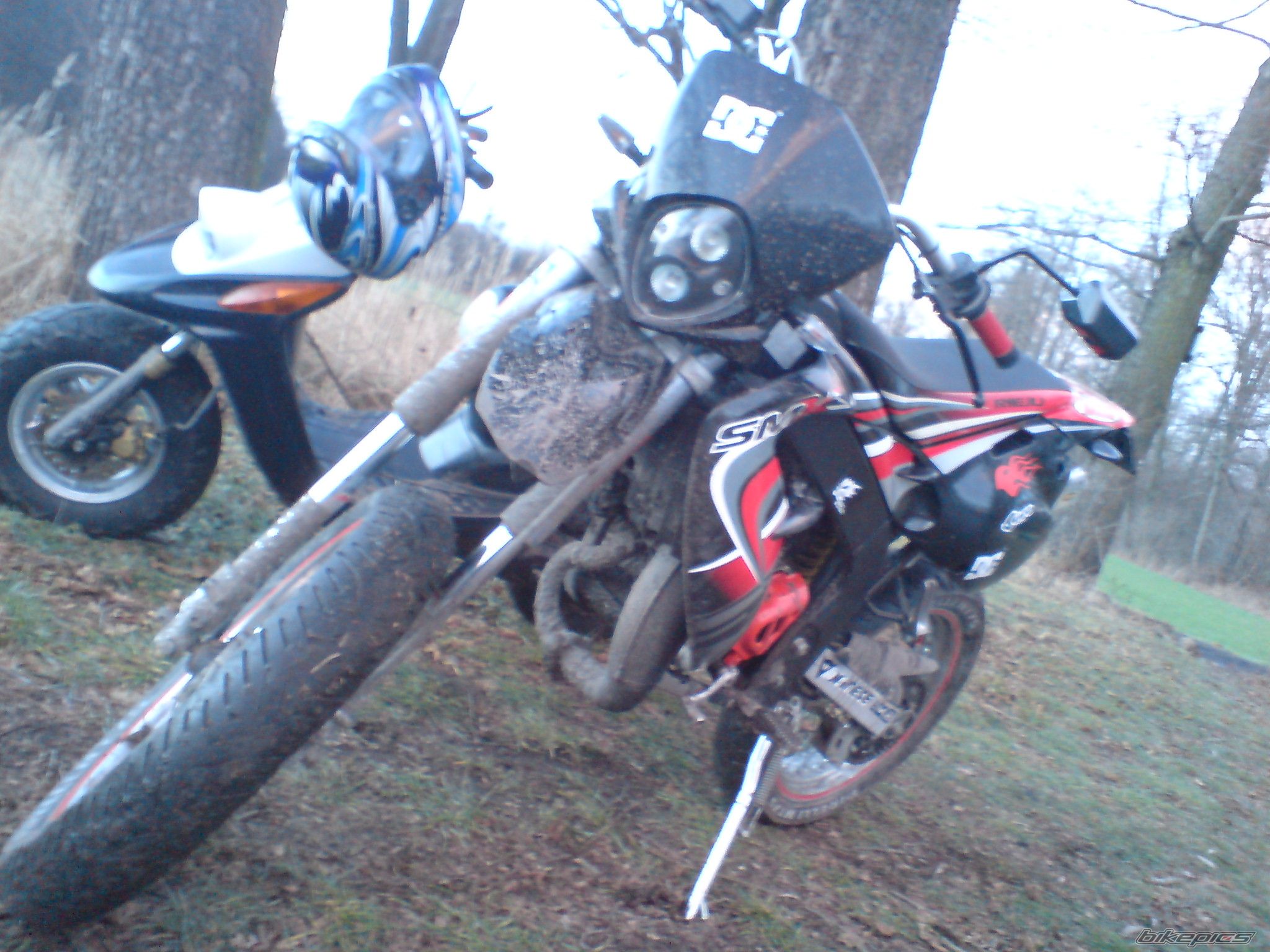 Photo 1564962