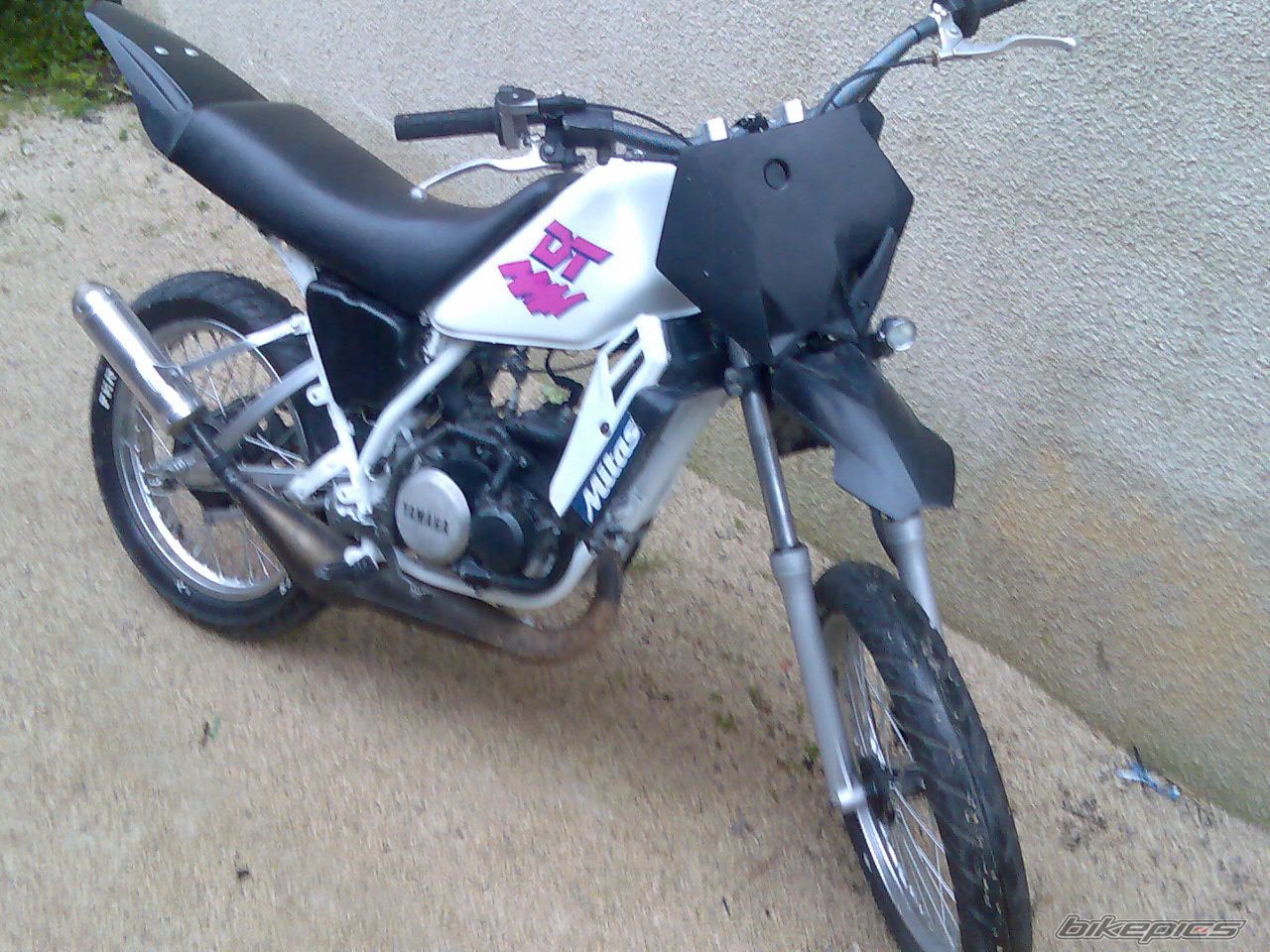 Photo 1564977