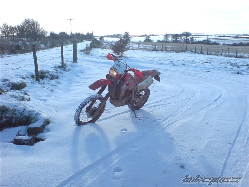 Bike Photo 1565004