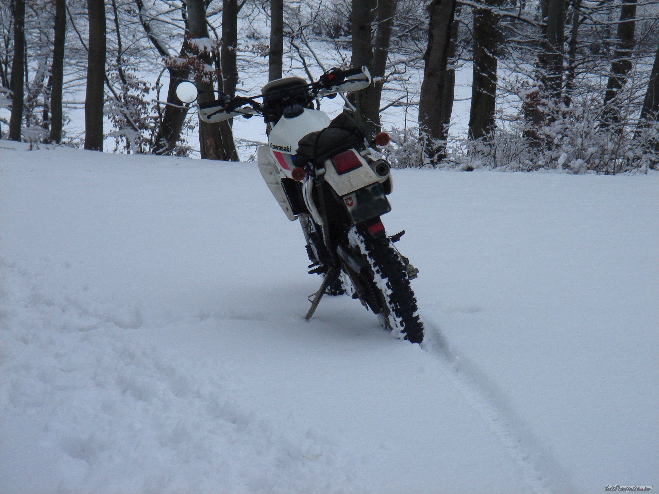 Photo 1565009