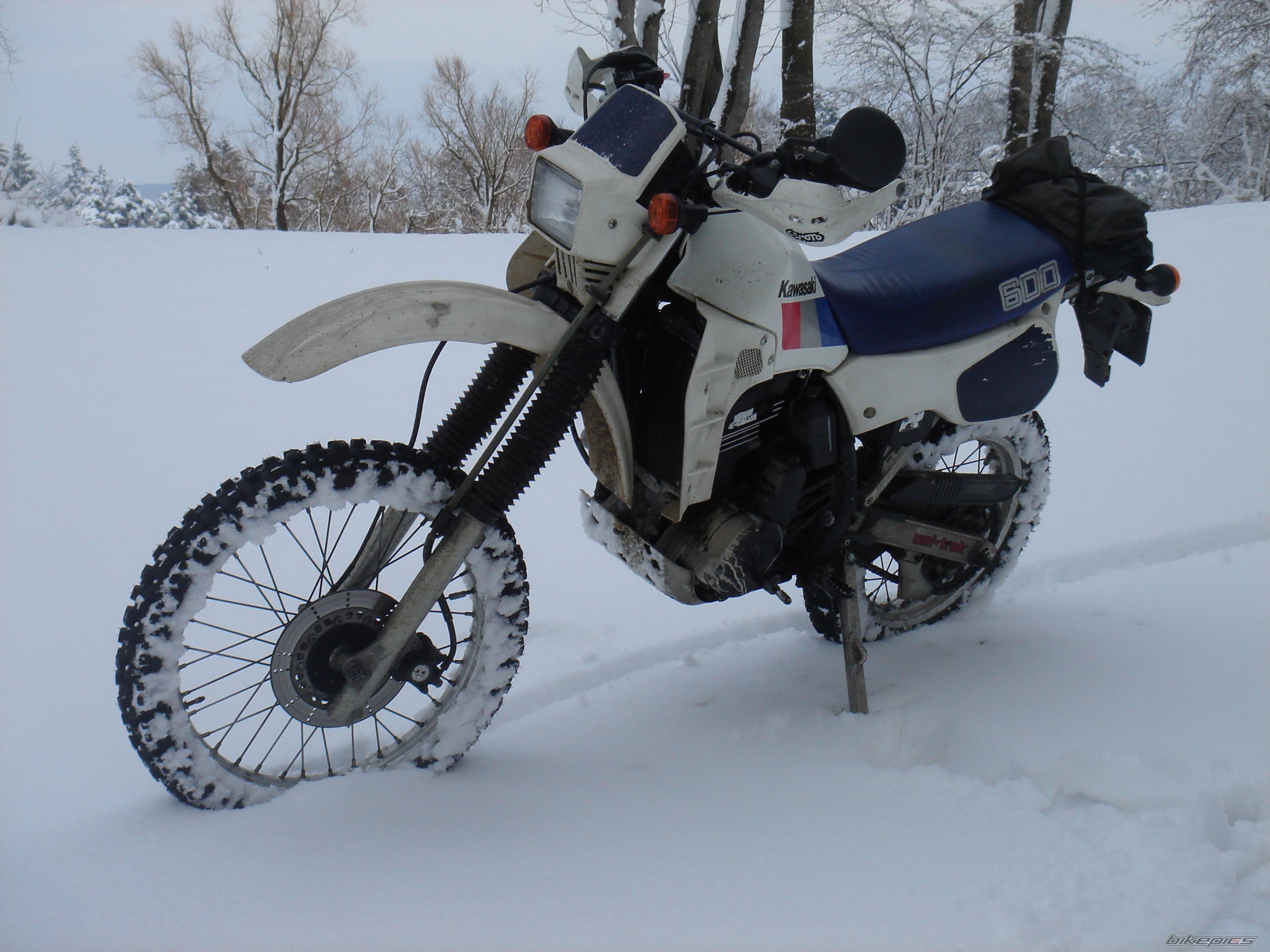 Photo 1565012