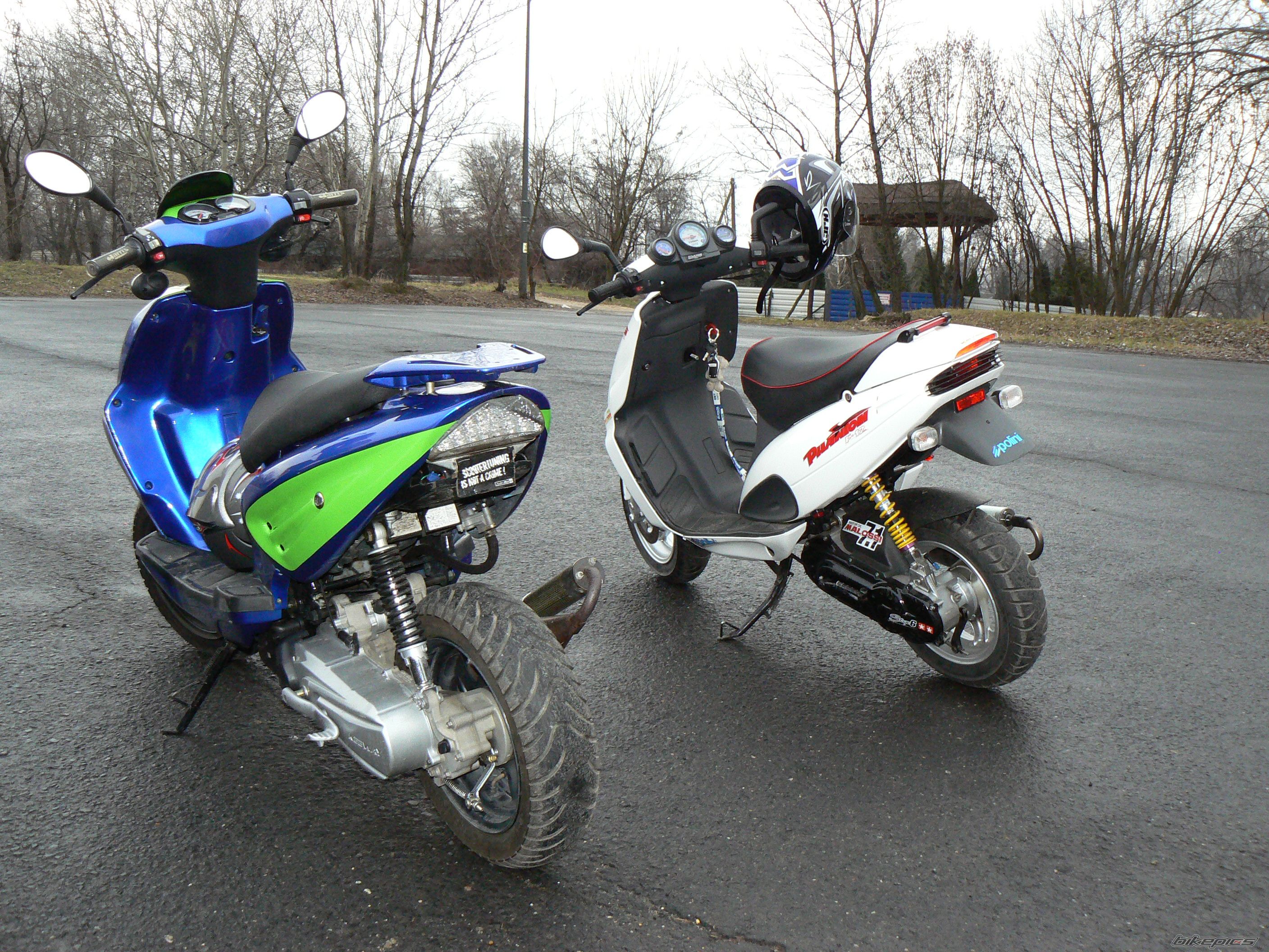 Photo 1565016