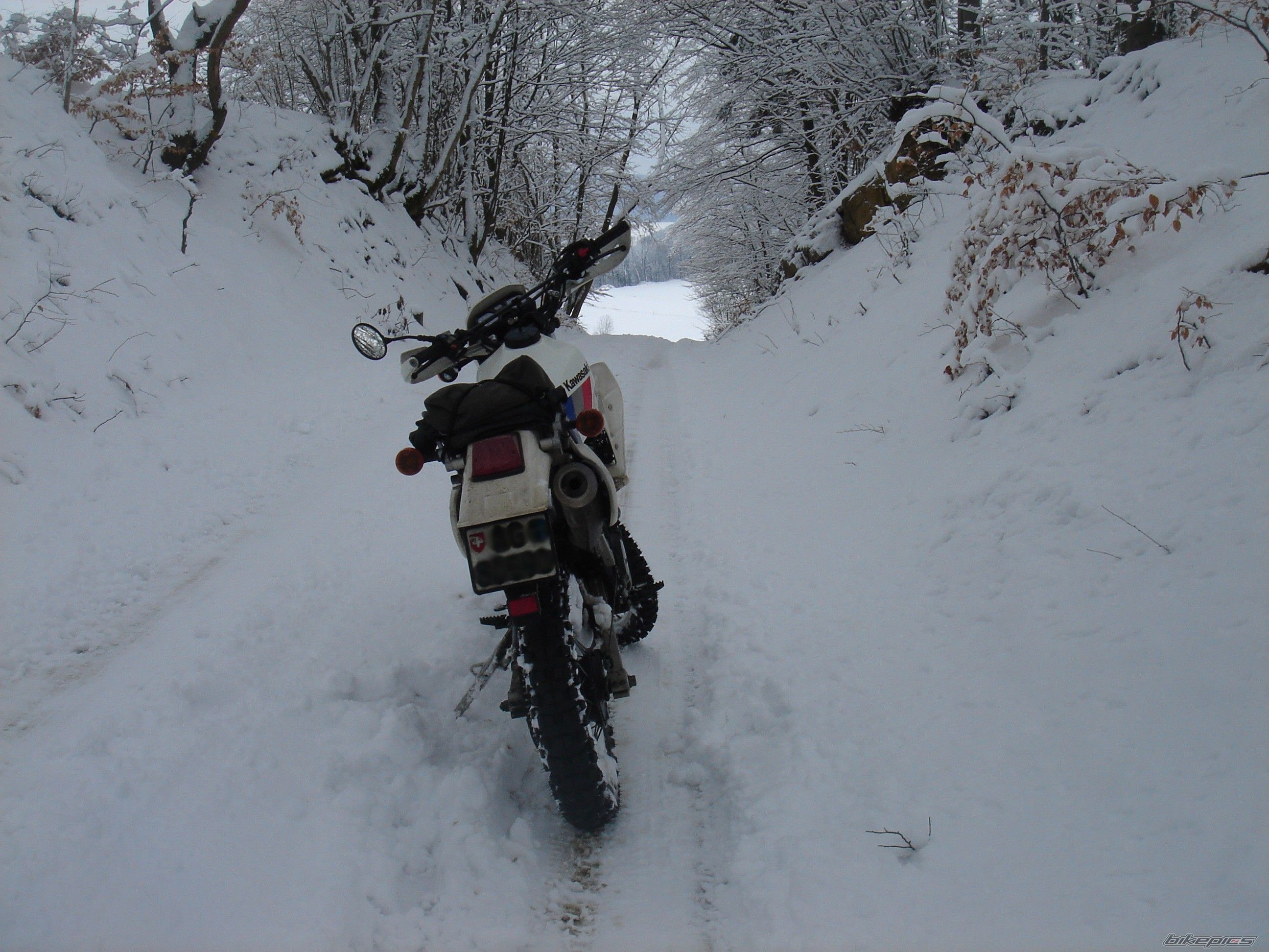 Photo 1565017