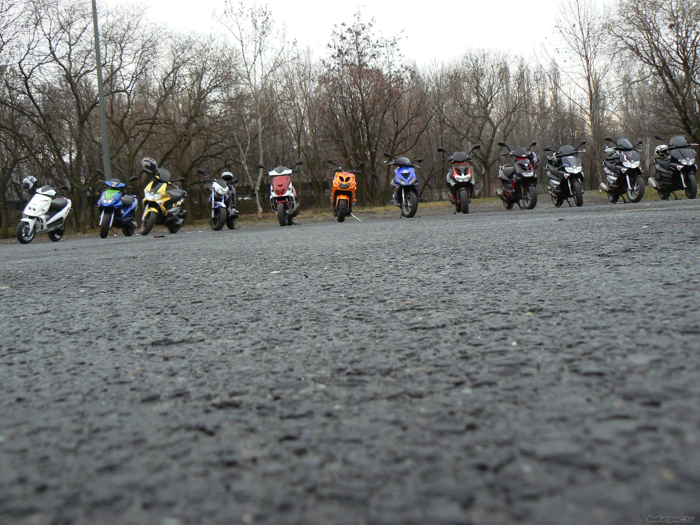 Photo 1565028