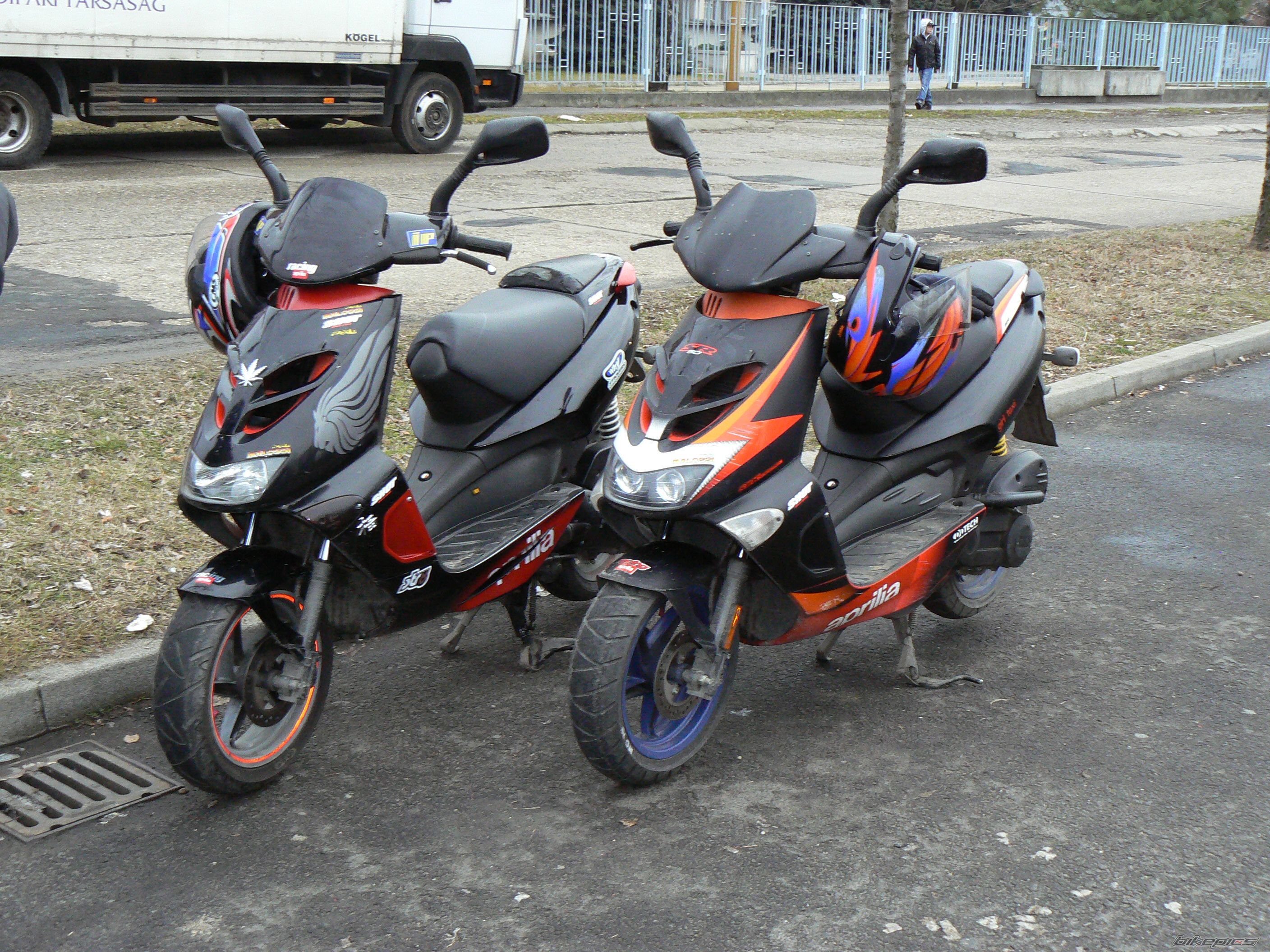 Photo 1565041