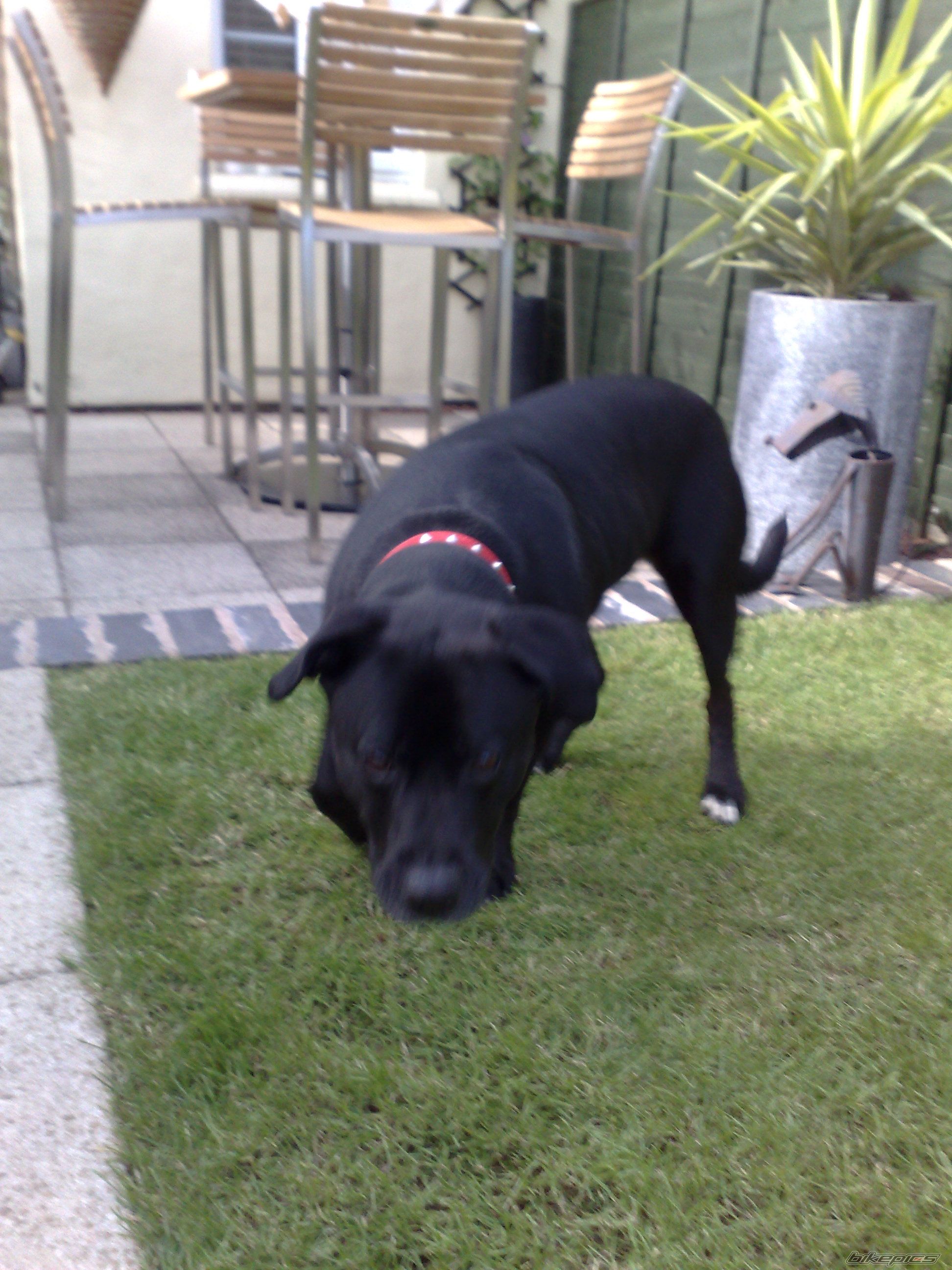 Photo 1565042
