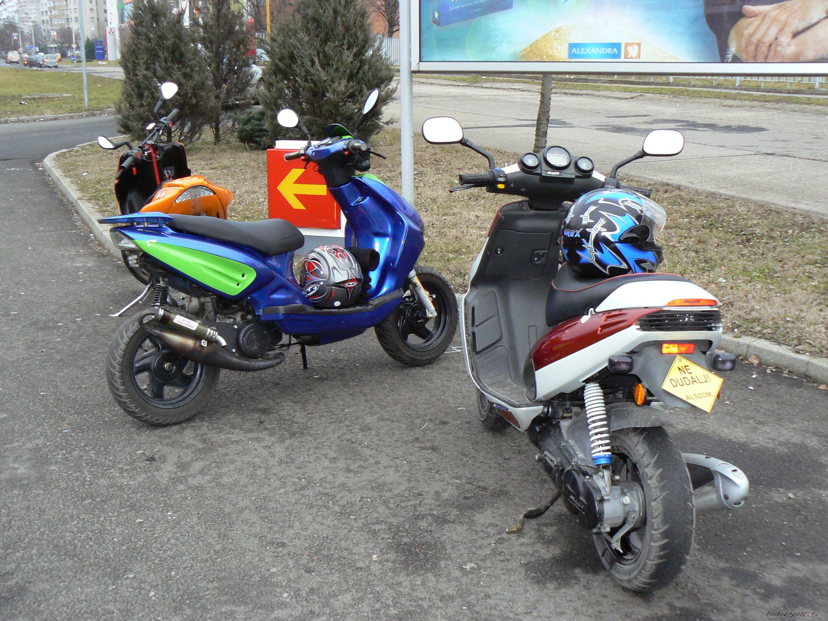 Photo 1565052