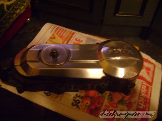 Photo 1565056