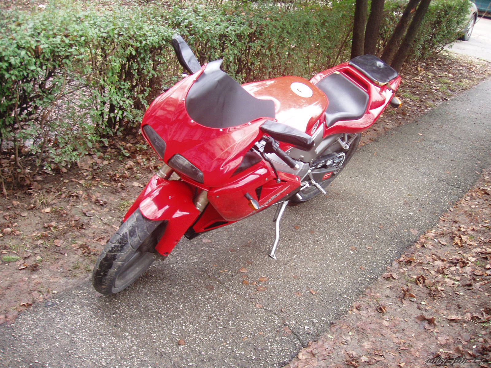 Photo 1565073