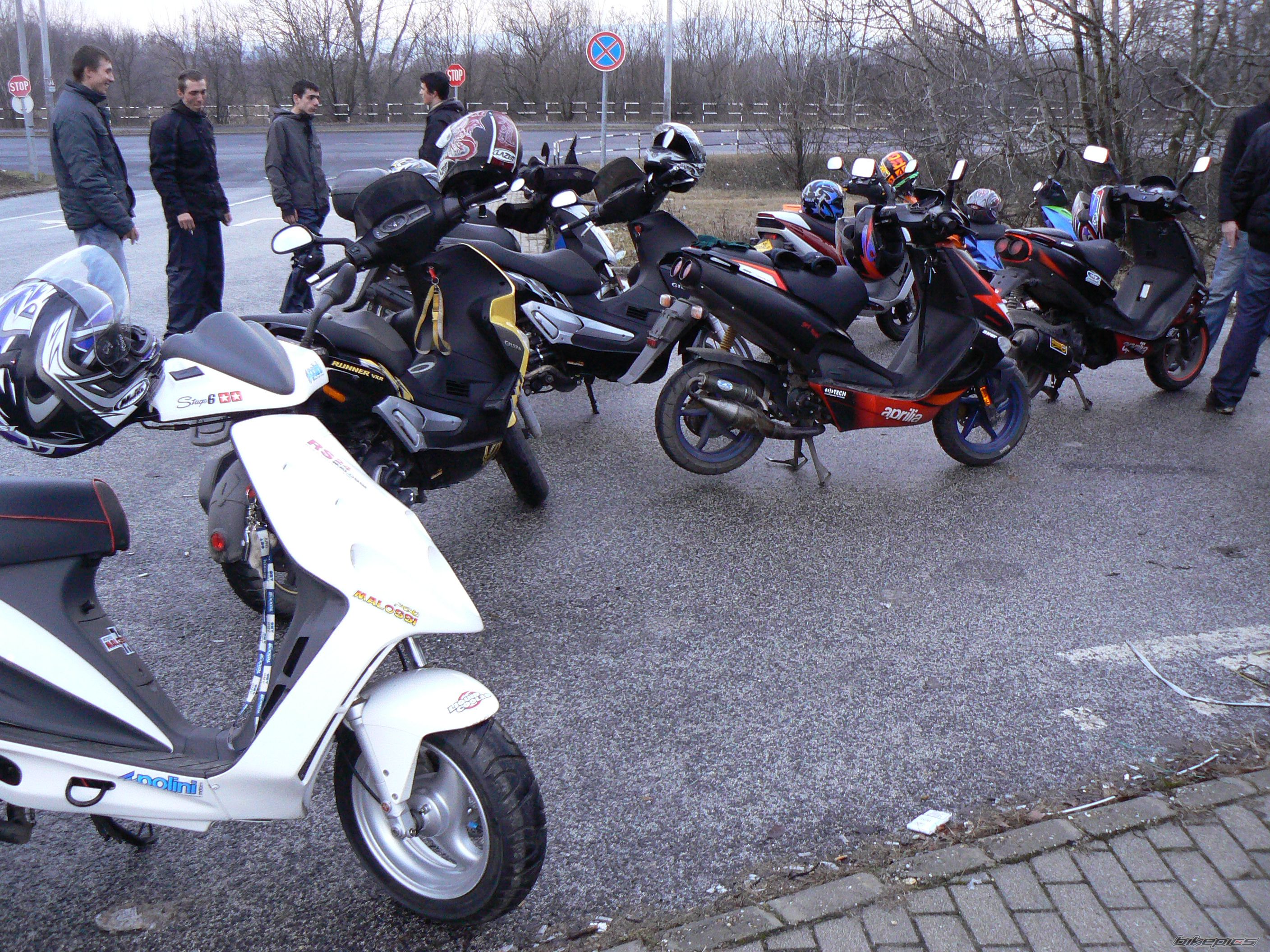 Photo 1565074