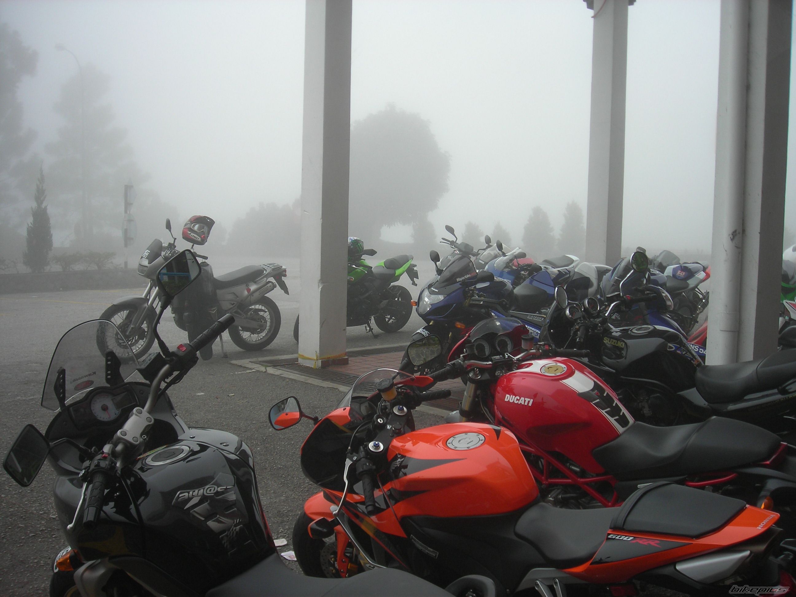 Photo 1565103