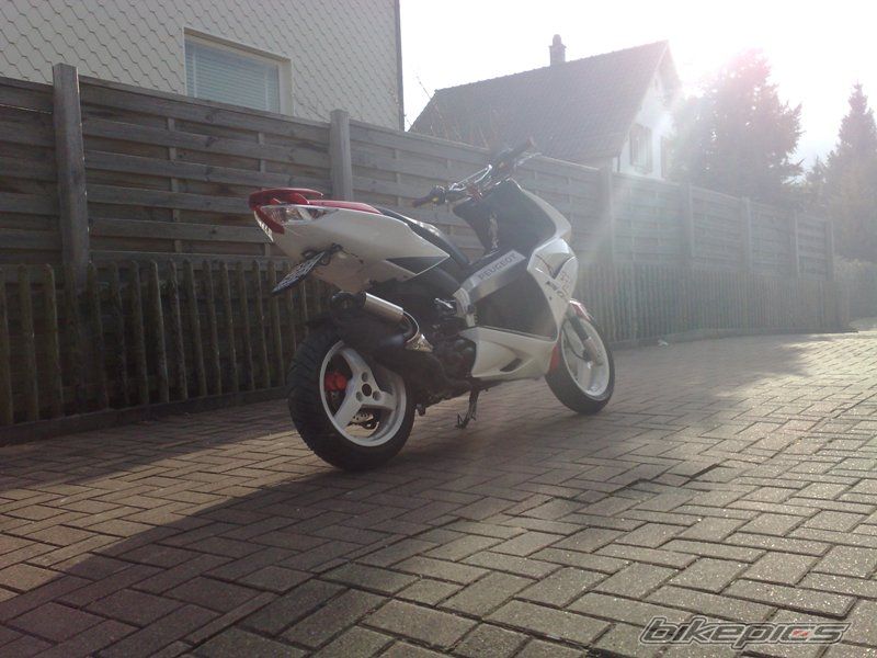 Photo 1565113