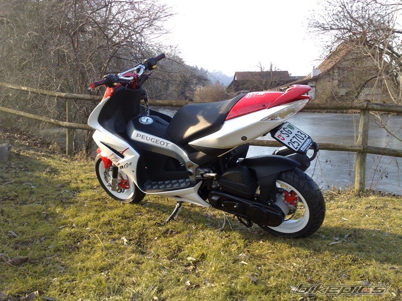 Photo 1565115