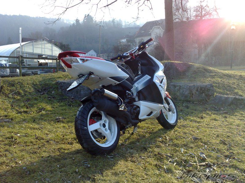 Photo 1565116