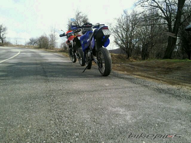 Photo 1565124