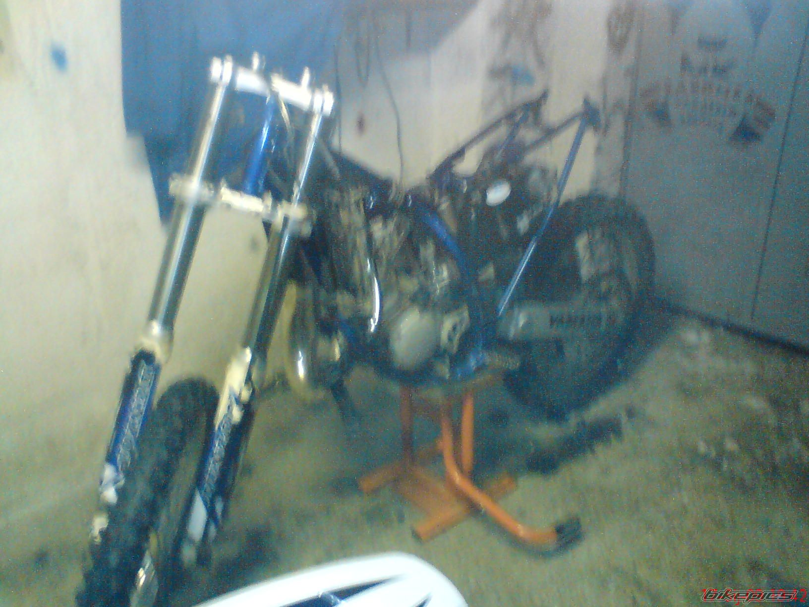 Photo 1565135