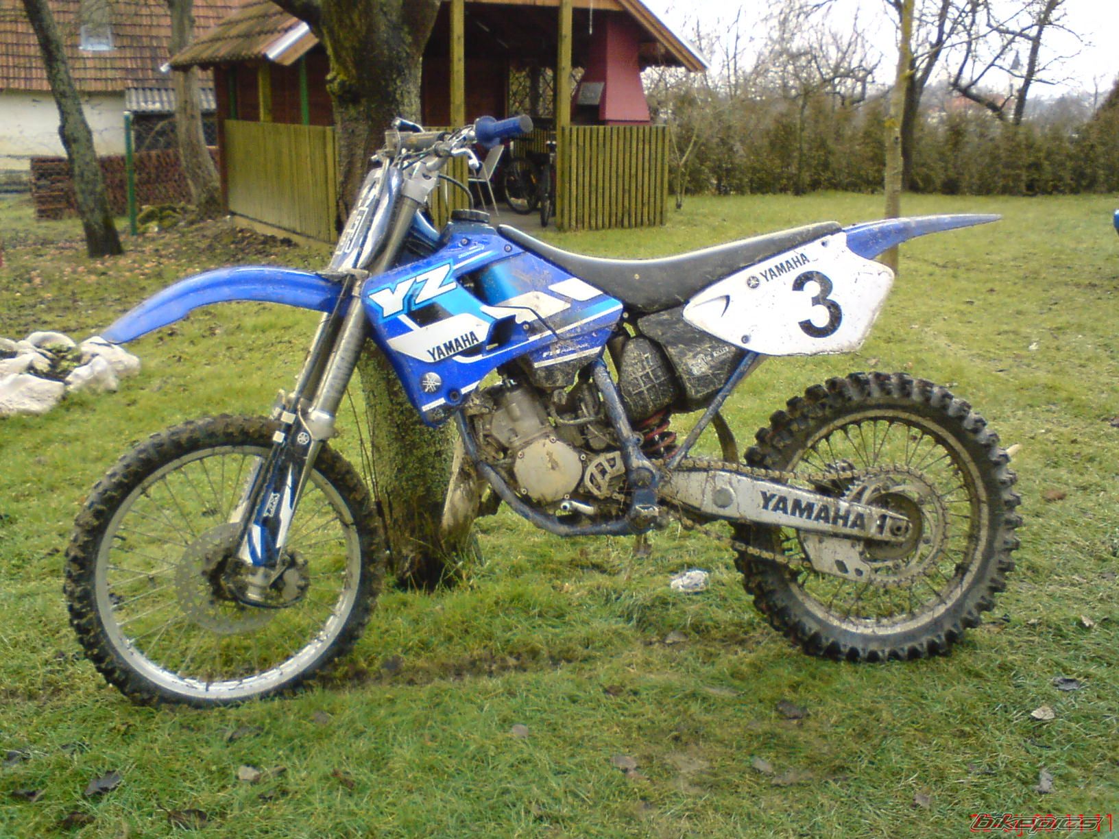 Photo 1565136