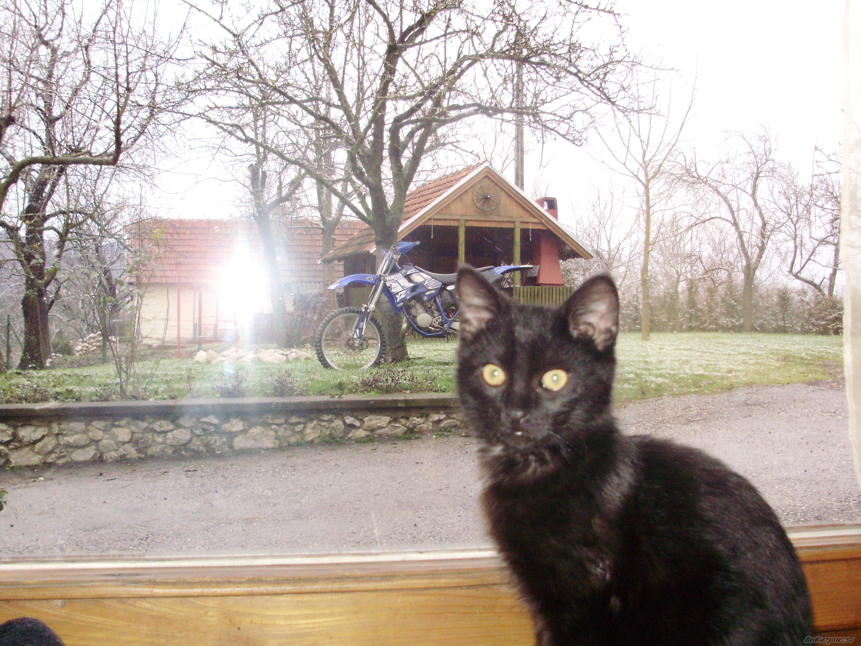 Photo 1565158