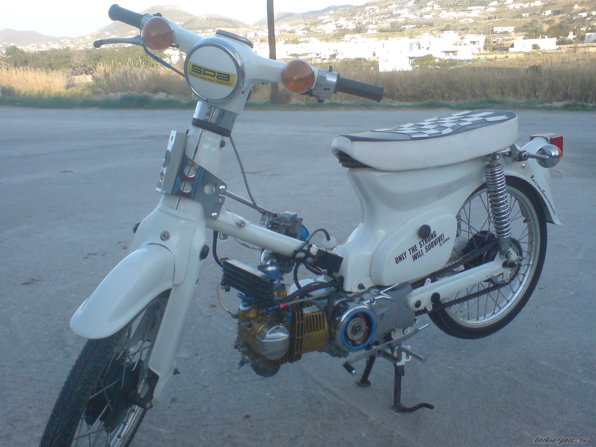 Photo 1565173
