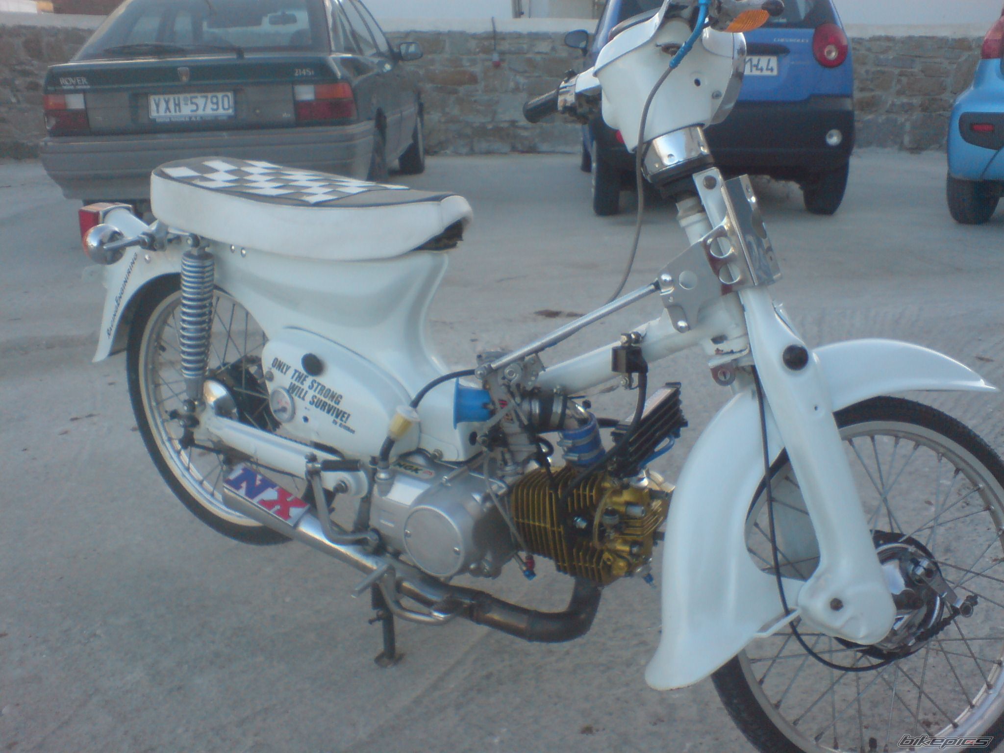Photo 1565177
