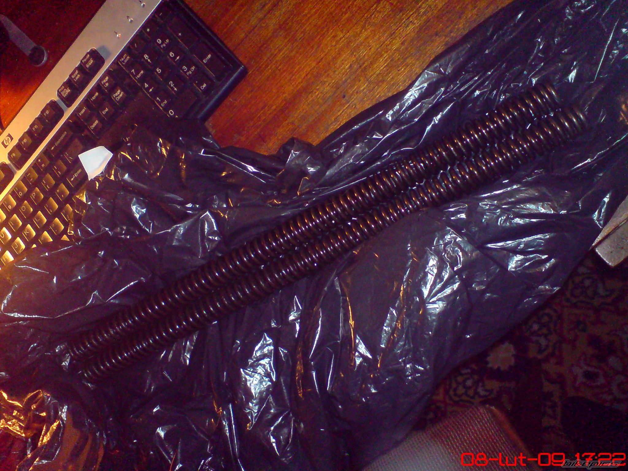Photo 1565180