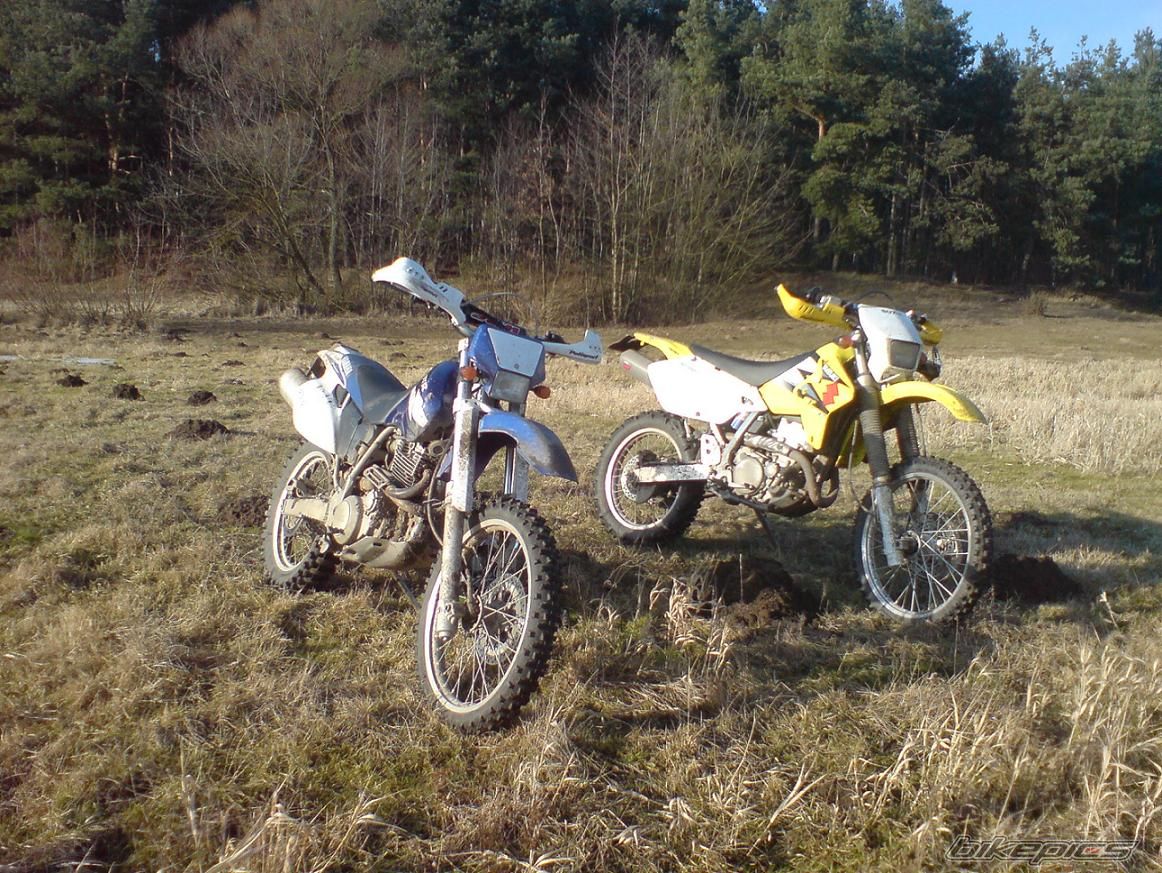 Photo 1565204