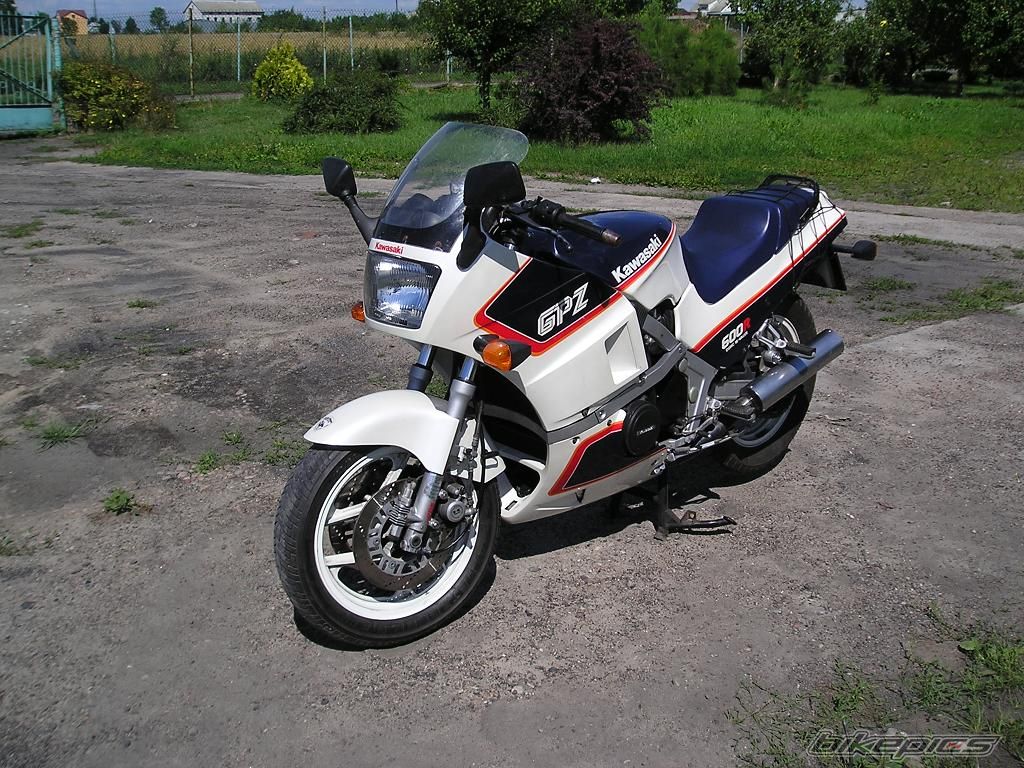 Photo 1565240