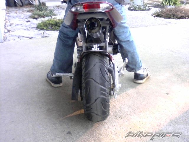 Photo 1565248