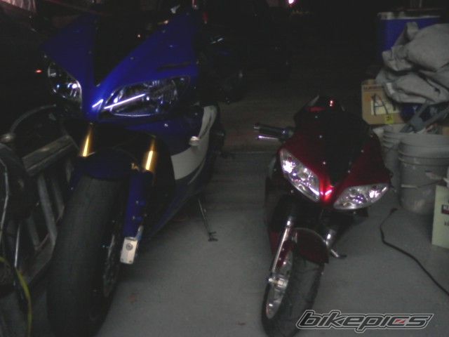 Photo 1565249