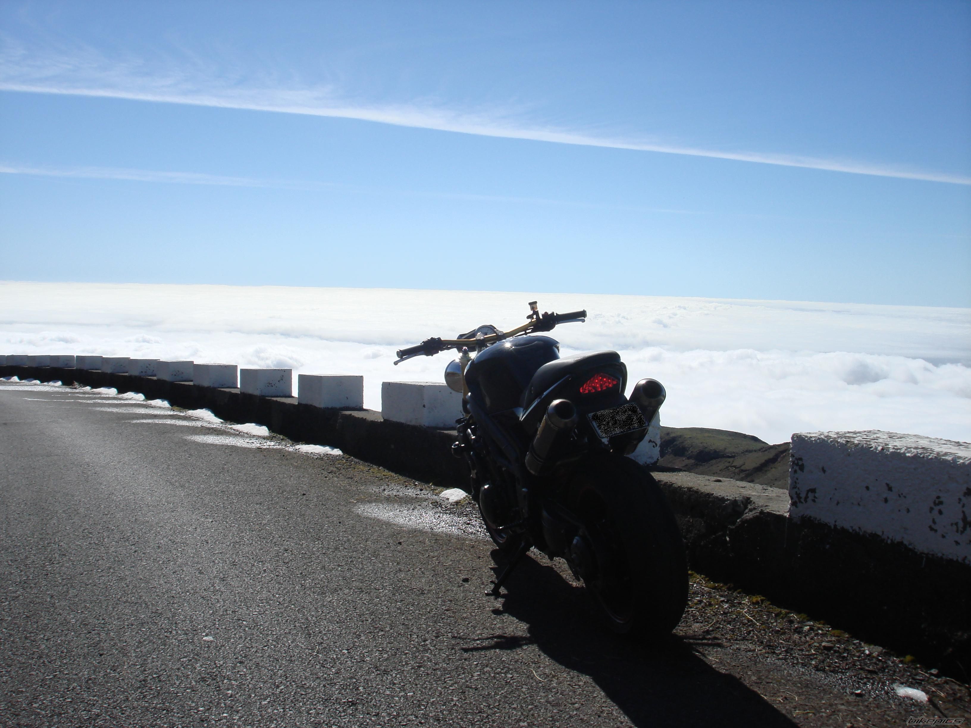 Photo 1565256