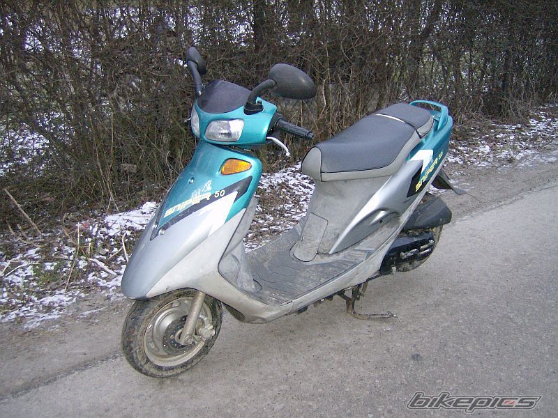 Photo 1565305