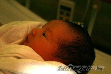 Photo 1565334