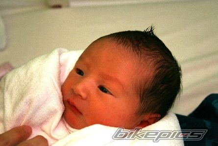 Photo 1565336