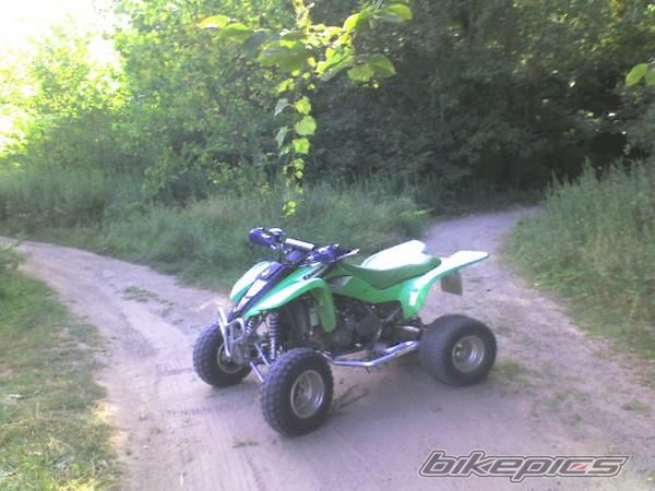 Photo 1565346